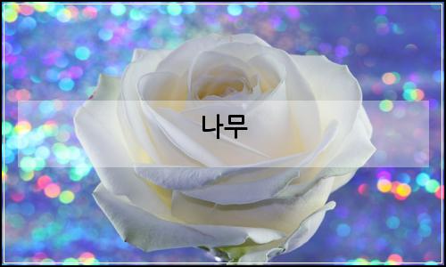 오늘의 이미지
