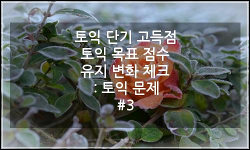 오늘의 이미지