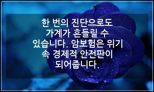 오늘의 이미지