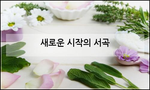 오늘의 이미지