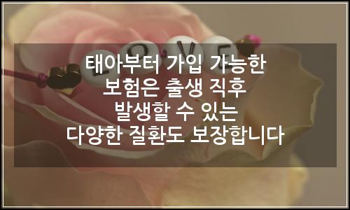 오늘의 이미지