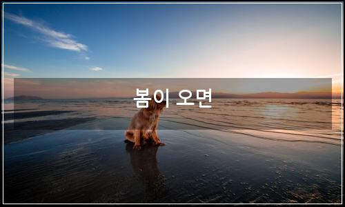 오늘의 이미지
