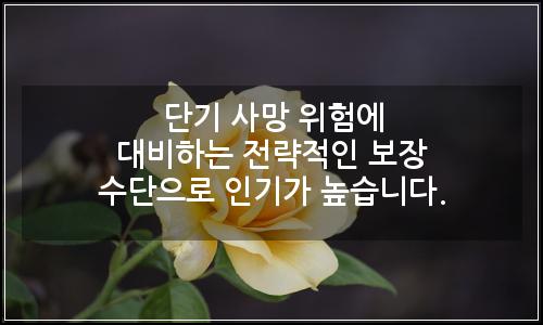 오늘의 이미지