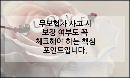 오늘의 이미지