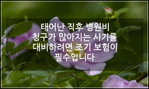 오늘의 이미지