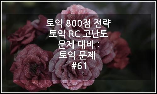 오늘의 이미지