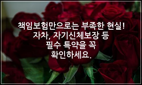 오늘의 이미지
