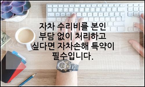 오늘의 이미지