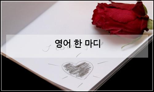 오늘의 이미지