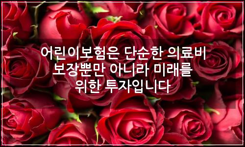 오늘의 이미지