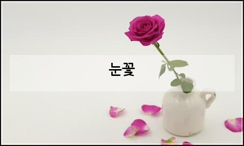 오늘의 이미지