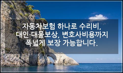 오늘의 이미지