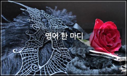 오늘의 이미지