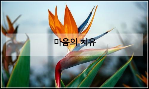 오늘의 이미지