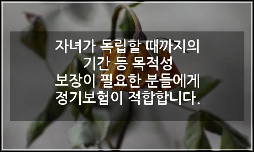 오늘의 이미지