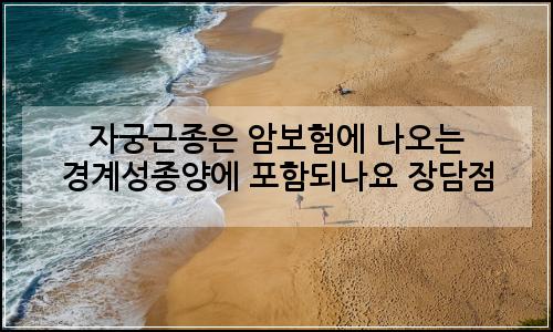 오늘의 이미지