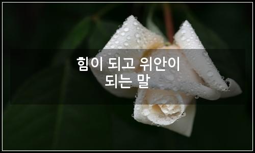 오늘의 이미지