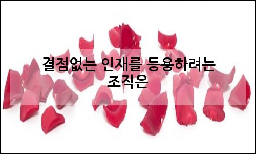 오늘의 이미지