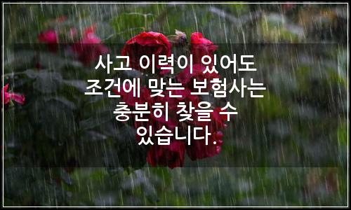 오늘의 이미지