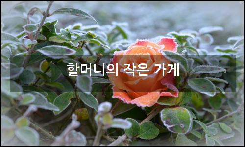 오늘의 이미지