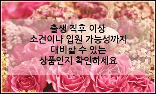 오늘의 이미지