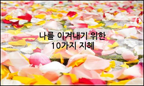 오늘의 이미지
