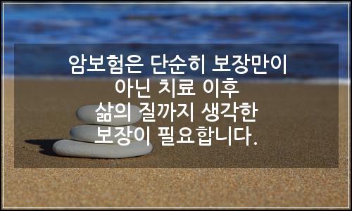 오늘의 이미지