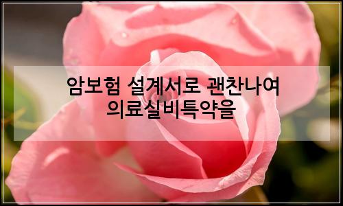 오늘의 이미지