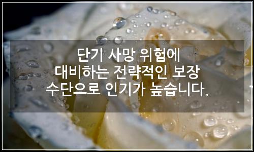 오늘의 이미지