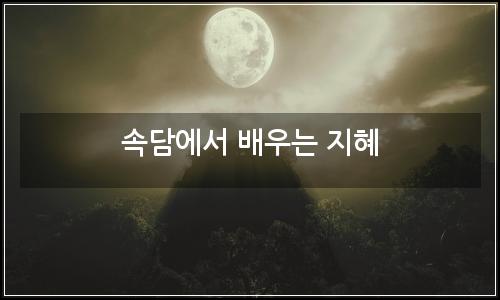 오늘의 이미지