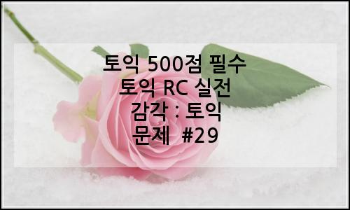오늘의 이미지
