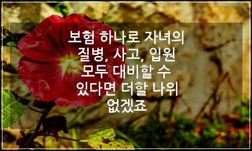 오늘의 이미지