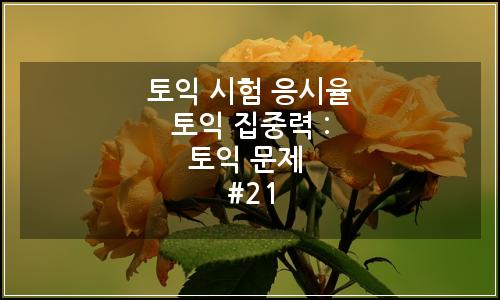 오늘의 이미지