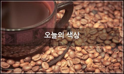 오늘의 이미지