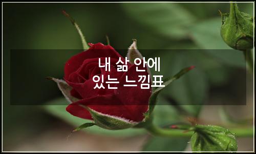 오늘의 이미지