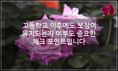 오늘의 이미지