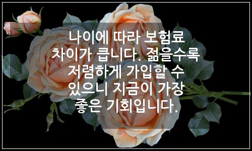 오늘의 이미지