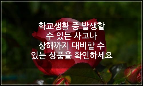 오늘의 이미지