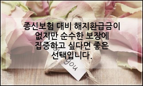 오늘의 이미지