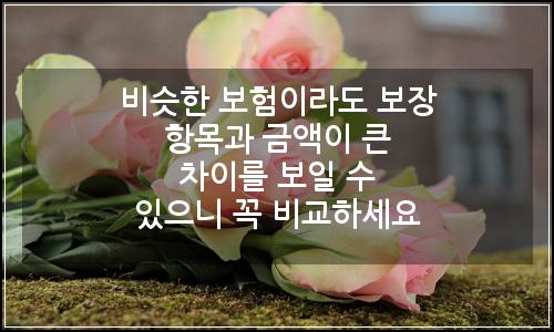 오늘의 이미지
