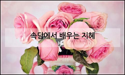 오늘의 이미지