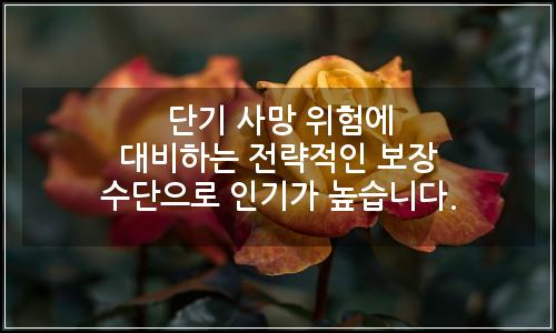 오늘의 이미지