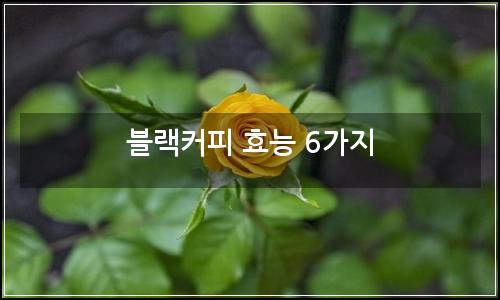 오늘의 이미지
