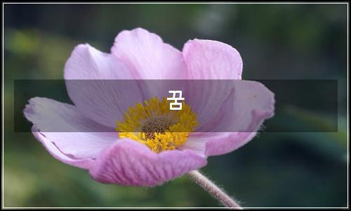 오늘의 이미지