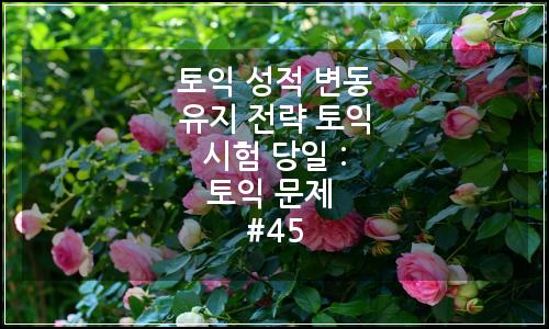 오늘의 이미지