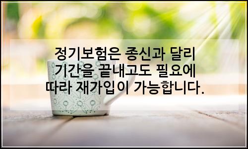 오늘의 이미지