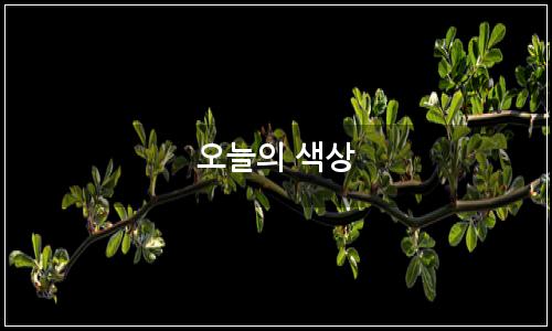 오늘의 이미지