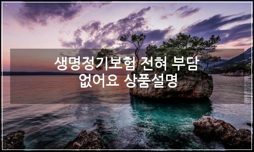 오늘의 이미지
