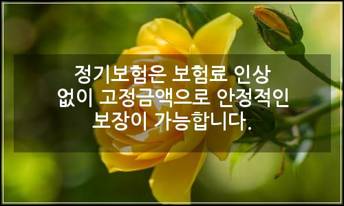 오늘의 이미지