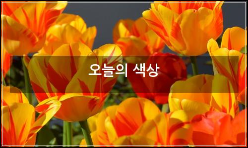 오늘의 이미지